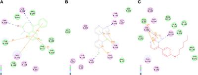 Design, Synthesis, and Evaluation of Anticonvulsant Activities of New Triazolopyrimidine Derivatives